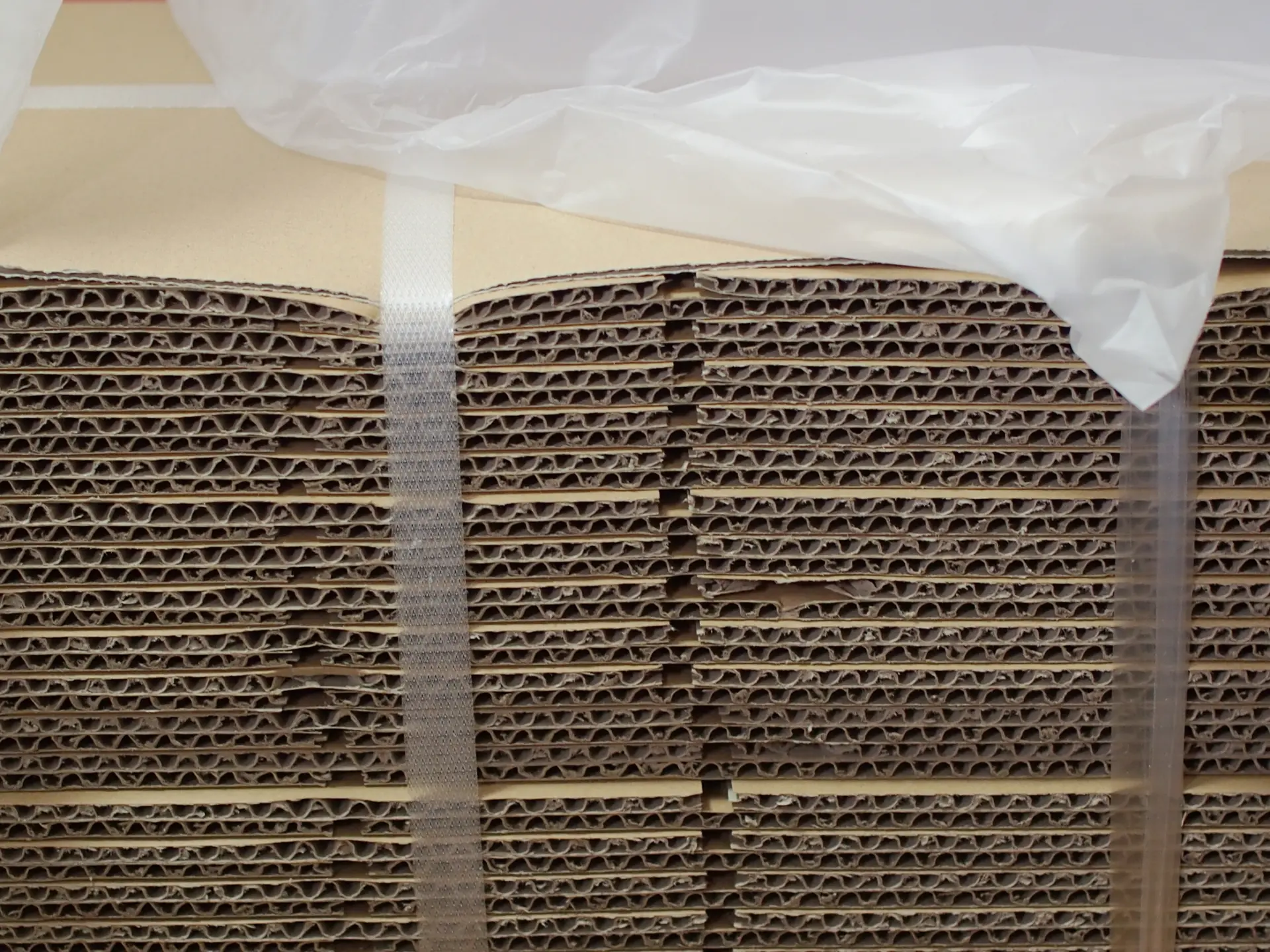 PPバンド 使い方